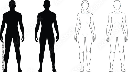 Vector illustration of male and female human body silhouettes, medical anatomy outline, black silhouette figure template for design and education