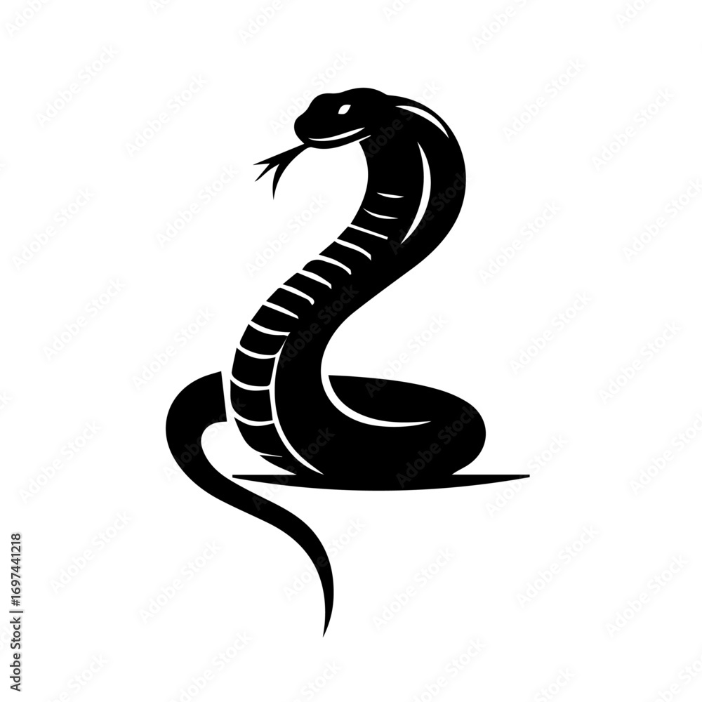 Fototapeta premium black and white King Cobra