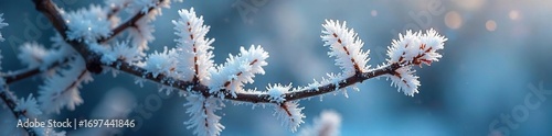 Close-up shot of glistening winter frost, sparkling like glitter on branches and leaves Perfect for holiday, winter, and nature themes Icy texture, magical feel , cold, winter wonderland, aesthetic