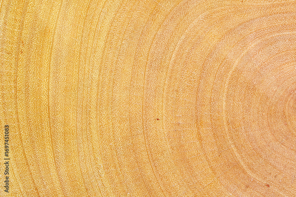 Naklejka premium Textured Close-Up of Natural Wood Grain with Yellow Tones