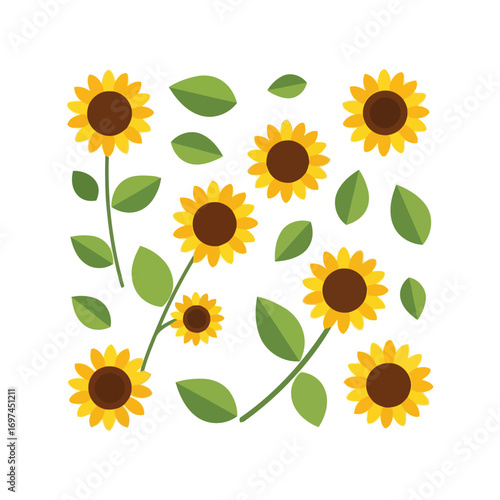 Bright sunflower pattern summer floral design botanical nature illustration for decoration vector