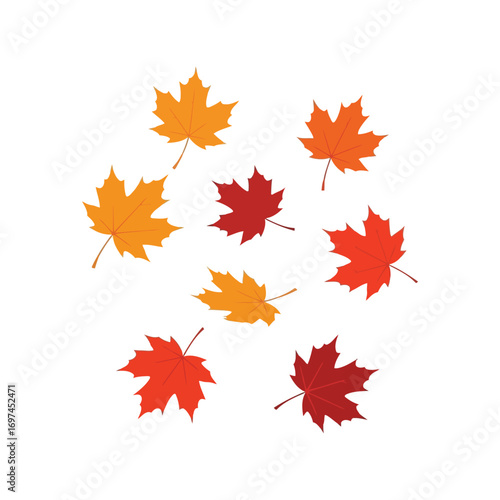 Vibrant autumn maple leaves scattered collection seasonal fall foliage natural elements vector