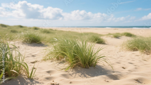 Wallpaper Mural sand dunes and grass Torontodigital.ca