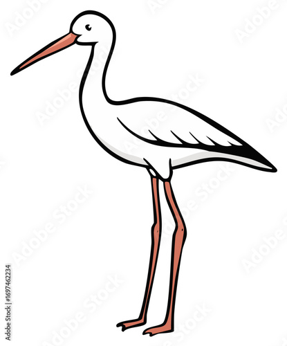 Elegant White Stork with Long Neck and Legs Standing Still Cartoon Style Illustration