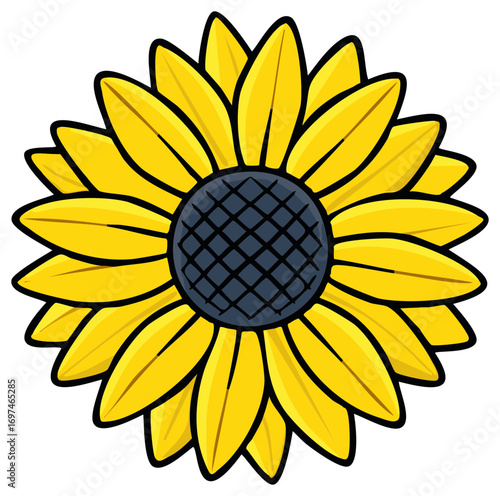 Illustrated sunflower with yellow petals and a dark center