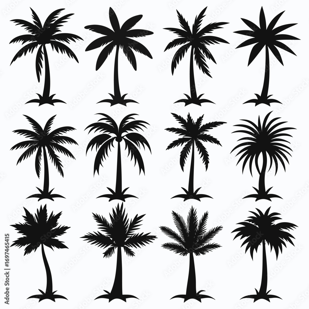 Fototapeta premium Minimalistic Tropical Palm-Tree Silhouette Vector Set