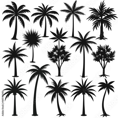 Minimalistic Tropical Palm-Tree Silhouette Vector Set
