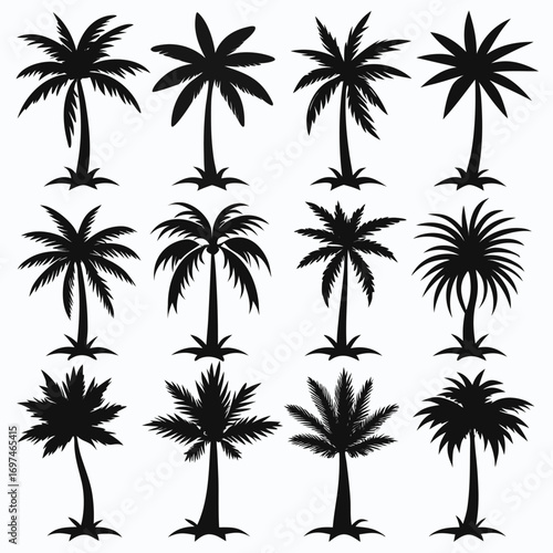 Minimalistic Tropical Palm-Tree Silhouette Vector Set