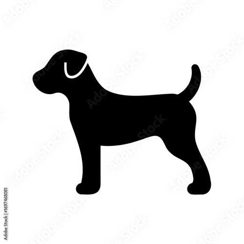 Silhouette of a small sized dog standing with a curled tail