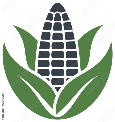 Simple graphic illustration of corn cob with green leaves. Agriculture concept illustration for food, farming, or harvest theme design.