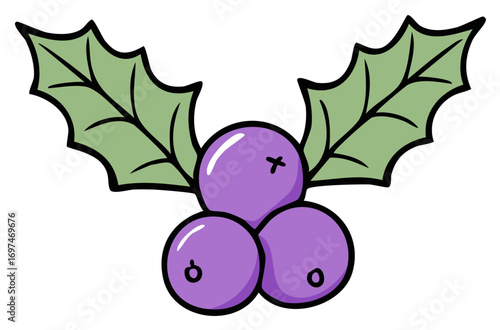 Illustration of holly leaves and berries, a festive holiday design element.