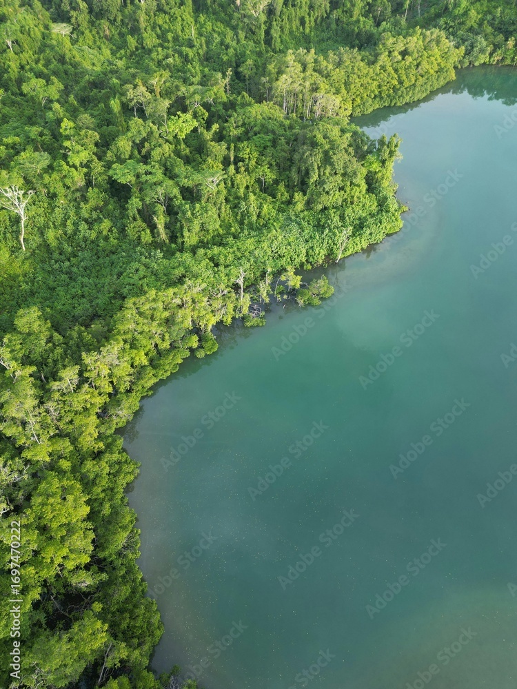 Fototapeta premium lake in the woods