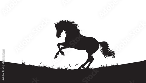 horse silhouette vector illustration
