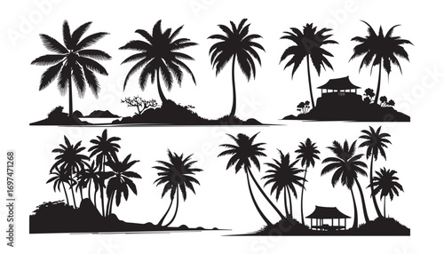palm trees silhouettes