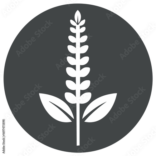 Stylized white plant stalk with leaves in a dark circle