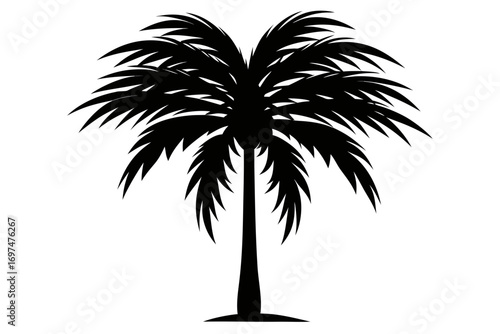 Palm tree silhouette illustration on a tropical beach background