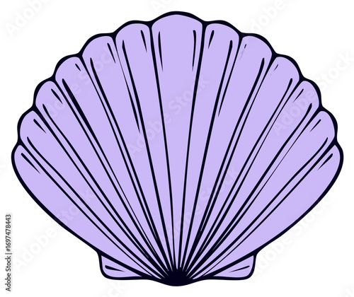 Purple Scallop Shell Hand Drawn Vector Illustration Ocean Theme