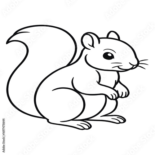 A squirrel illustration vector style coloring page