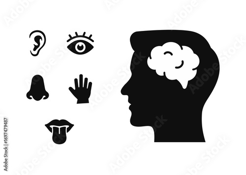 Icons of the brain and human sensory organs. Vector Illustration. Stock illustration.