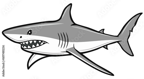 Cartoon illustration of a grey shark swimming towards the viewer