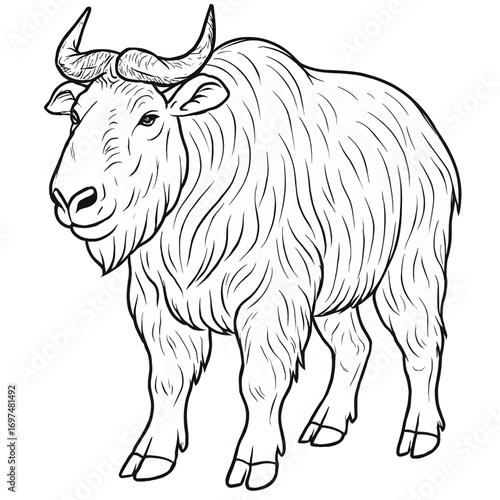 A takin illustration vector style coloring page