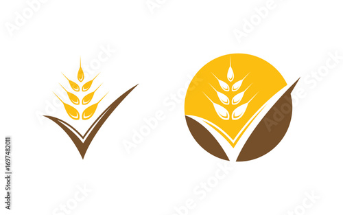 Agriculture Farm wheat rice vector illustration design v3.4