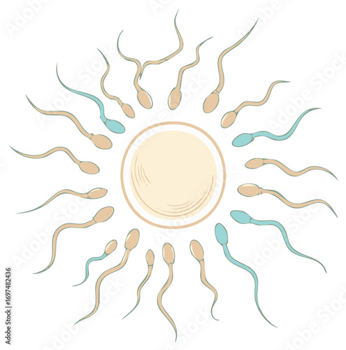 Illustration of sperm cells surrounding an ovum symbolizing fertilization and reproduction