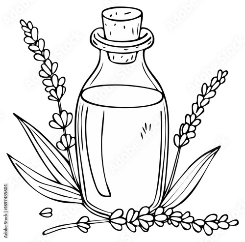 Essential Oil Bottle with Lavender Sprigs Illustration Black and White Style