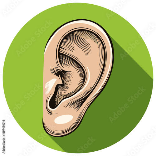 Human Ear Illustration on Green Circle Anatomical Design Medical Hearing Health