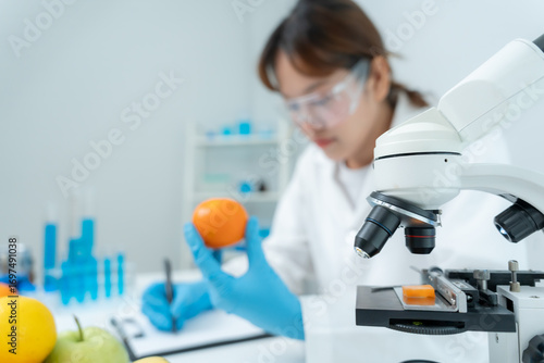 Fotografia Scientist check chemical food residues in laboratory