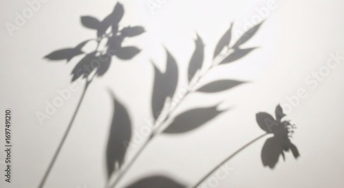 Wallpaper Mural Soft focus floral shadows on a textured white surface subtle nature inspired light play Torontodigital.ca