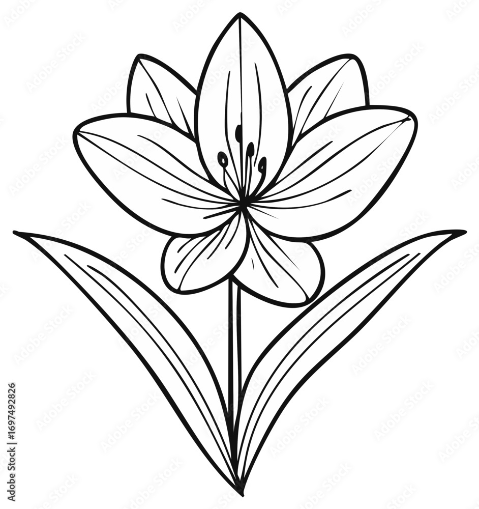Obraz premium Simple Elegant Flower Line Art Illustration for Coloring Book and Decorative Design Elements