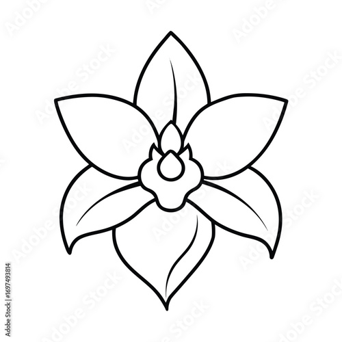 Elegant orchid flower line art illustration silhouette design