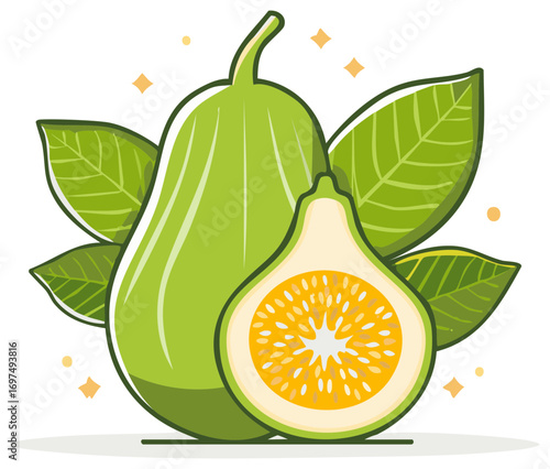 Illustration of whole and cross section pear shaped fruit with seeds and surrounding leaves depicting tropical vegetarian food