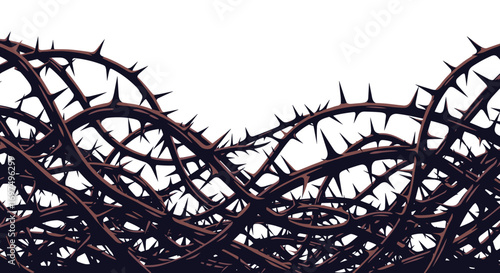 A dense collection of thorny branches entwined creating a dark and textured background element for design