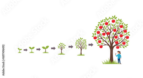 Illustrating the complete cycle of an apple tree from germination to harvest showcasing its growth progression