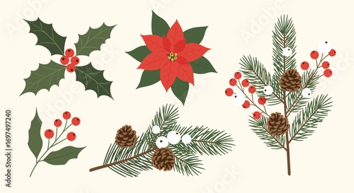 Elegant christmas winter holiday botanical elements for festive decorations and craft projects