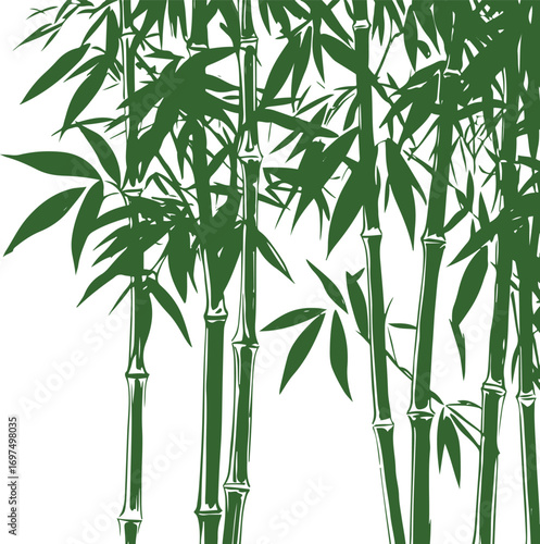Tall bamboo stalks with leaves, strong bold line art style on white background 2.