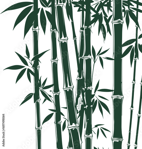 Tall bamboo stalks with leaves, strong bold line art style on white background 3