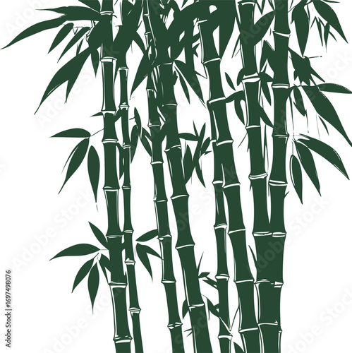 Tall bamboo stalks with leaves, strong bold line art style on white background