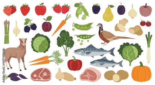 Healthy Eating Vector Set of Fresh Food and Protein