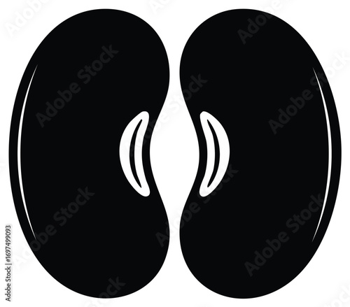 Stylized Black and White Beans Illustration, Isolated Organic Vegetarian Food, Natural Protein Source