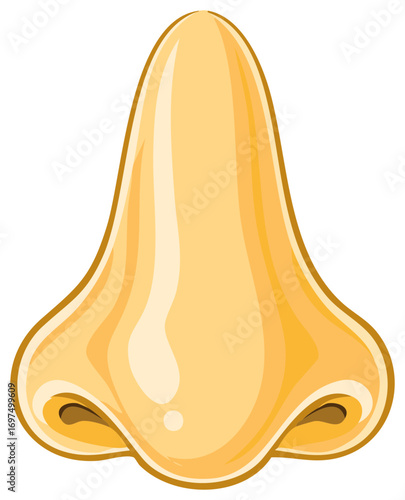 Realistic yet stylized human nose illustration ideal for health or beauty topics