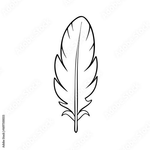 Clean outline drawing of a feather minimalistic design for coloring page