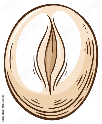 Hazelnut Nut Shell Cartoon Vector Illustration Healthy Food Ingredient Isolated
