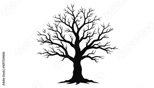 Silhouetted bare tree