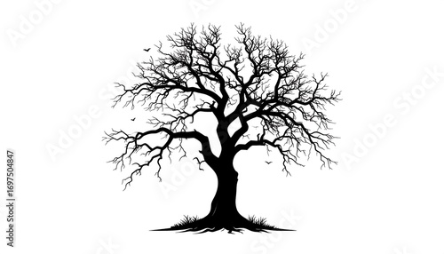 Silhouetted barren tree