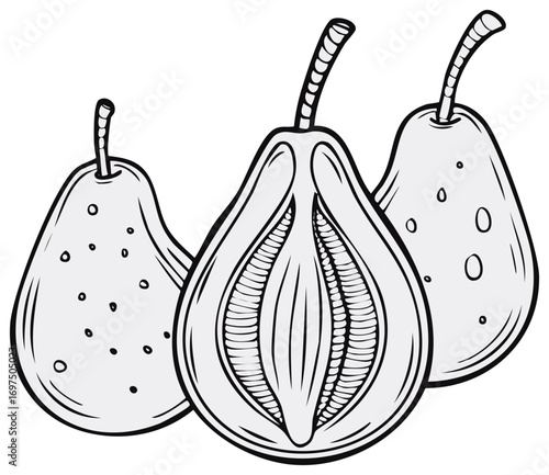 Hand Drawn Black and White Illustration of Three Ripe Pears, One Sliced Open with Visible Seeds and the Others with Spots