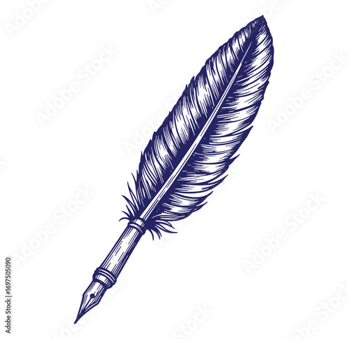 Detailed hand drawn illustration of a feather quill pen on white background