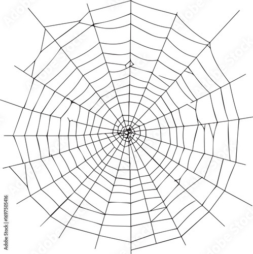 Intricate spiderweb design for Halloween decorations or spooky themes, perfect for web backgrounds, vector art, and creepy crawly designs with a transparent overlay